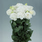 Lisianthus Voyage 2 Pure White F1 Seed