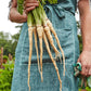Parsnip, Hollow Crown