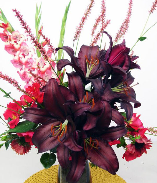 Firebolt Oriental Hybrid Lily Blooms Species Growing Bonsai Bulbs Roots Rhizomes Corms Tubers Potted Planting Reblooming Fragrant Garden Flower Seeds Plant
