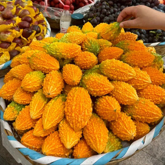 Lai Grape Seeds for Garden Bitter Gourd Seeds