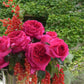 Regis Marcon Rose Seedlings Flower Seeds Perennial Growing Bonsai Corms Tubers Potted Planting Reblooming Fragrant Garden Roots Rhizomes Species Blooms Plant Bulbs Gardening Tree