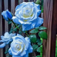 Broken Ice Blue Rose Seeds - Rare