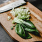 Baby Bok Choy Seeds Shanghai Green Stem AKA Pak Choi Pok Choi Chinese Cabbage