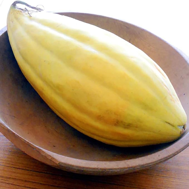 Rare Banana Melon Seed Exotic Charm Sweet Fruit  Unique Flavor