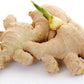 10 Live Sprouted Rhizomes of Heirloom Peruvian Ginger (Zingiber officinale) for Growing