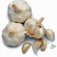 GARLIC BULB (1/2 Pound), FRESH CALIFORNIA SOFTNECK GARLIC BULB FOR PLANTING, EATING AND GROWING YOUR OWN GARLIC, COUNTRY CREEK BRAND