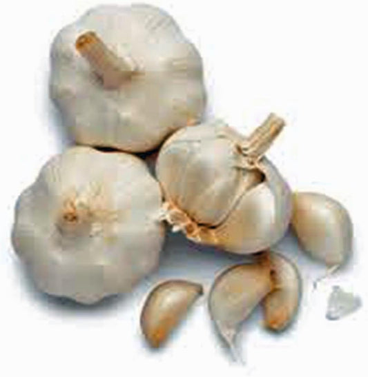 GARLIC BULB (1/2 Pound), FRESH CALIFORNIA SOFTNECK GARLIC BULB FOR PLANTING, EATING AND GROWING YOUR OWN GARLIC, COUNTRY CREEK BRAND