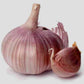 Garlic Bulb (6 Pack), Fresh Siberian HARDNECK Garlic Bulb for Planting and Growing Your OWN Garlic OR Eating