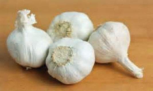 Garlic Bulb (10 Pack), Fresh California SOFTNECK Garlic Bulb for Planting and Growing Your OWN Garlic