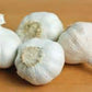 GARLIC BULB (1/2 Pound), FRESH CALIFORNIA SOFTNECK GARLIC BULB FOR PLANTING, EATING AND GROWING YOUR OWN GARLIC, COUNTRY CREEK BRAND