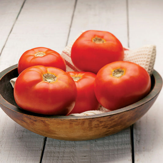 Dixie Red Hybrid Tomato Seeds