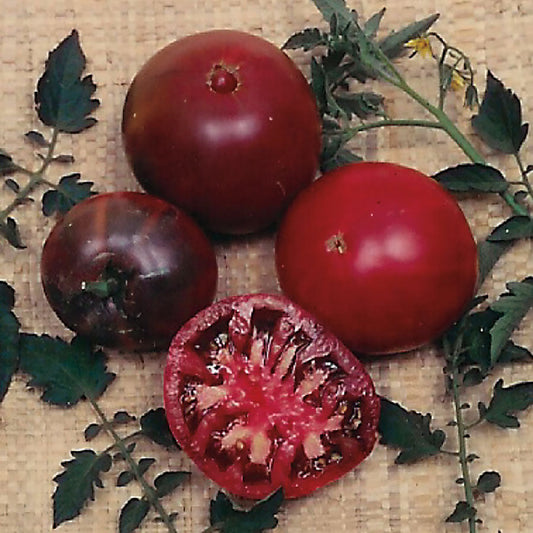 Black Krim Tomato Seeds