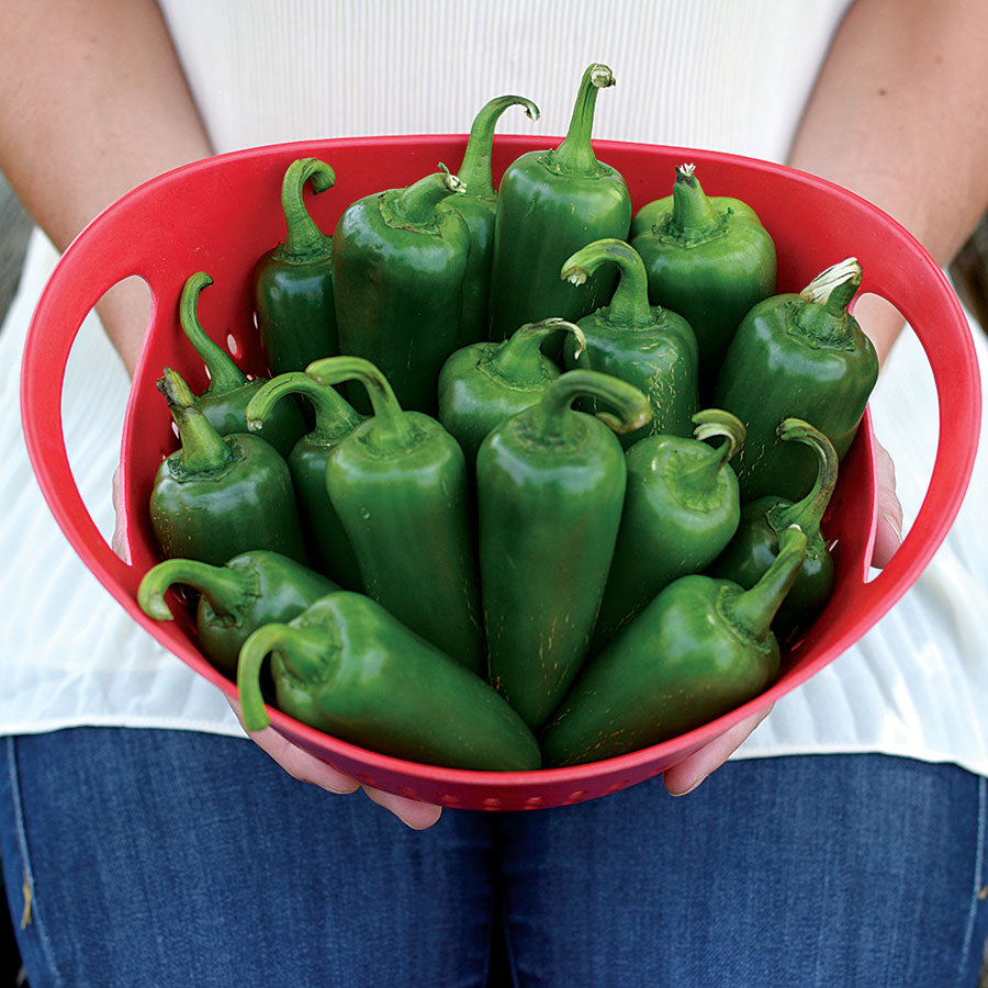 Parks Whopper Jalape&ntilde;o Pepper Seeds