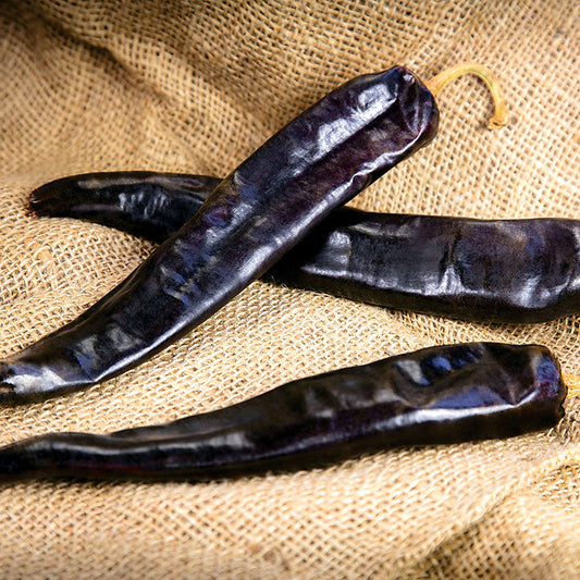 Durango Guajillo Hybrid Pepper Seeds