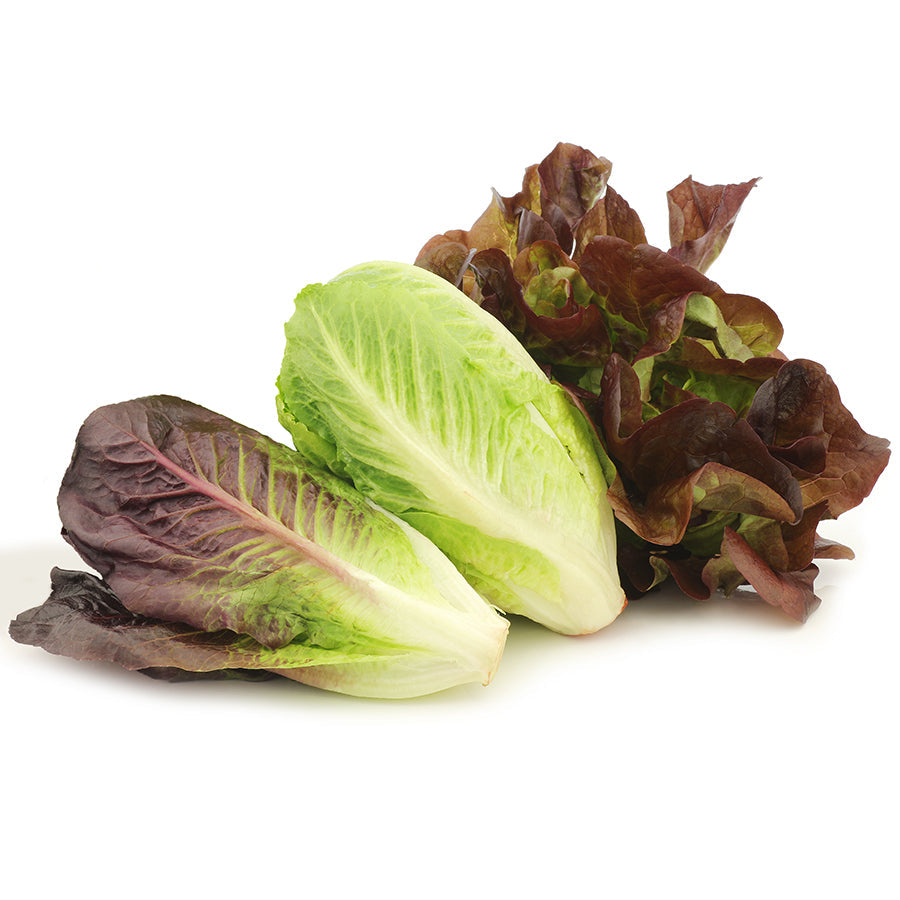 Parks Organic Tricolor Romaine Blend