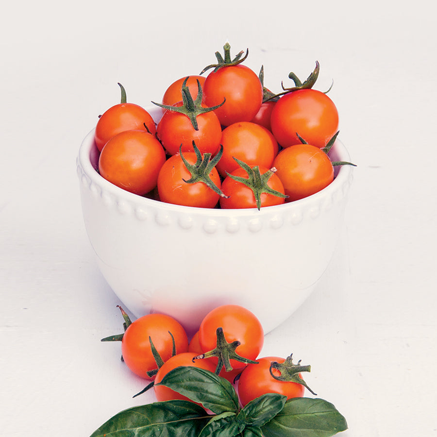 Sun Gold Hybrid Cherry Tomato Seeds