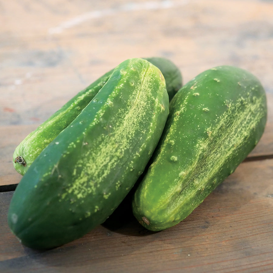 Excelsior F1 Organic Cucumber Seeds