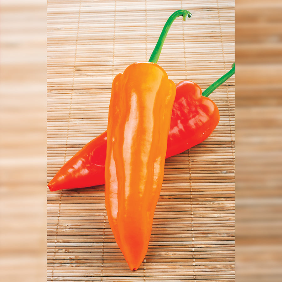 Oranos F1 Organic Pepper Seeds