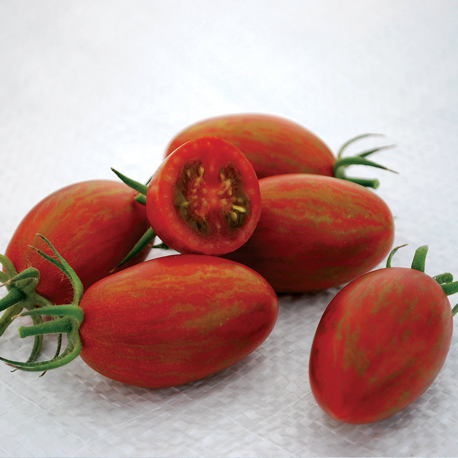 Bronze Torch F1 Grape Tomato Seeds