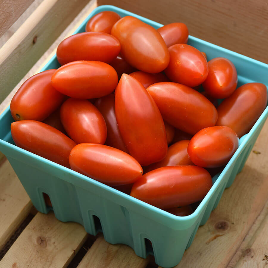 Tomato Marzito Seeds