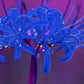 Blue Lycoris Spider Lilies Bulbs Radiata Hurricane Lily Cluster Amayllis Growing Bonsai Roots Rhizomes Corms Tubers Potted Planting Reblooming Fragrant Garden Species Blooms Flower Seeds Plant Gardening