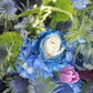 Starry Galaxy Rose - Rare Rose