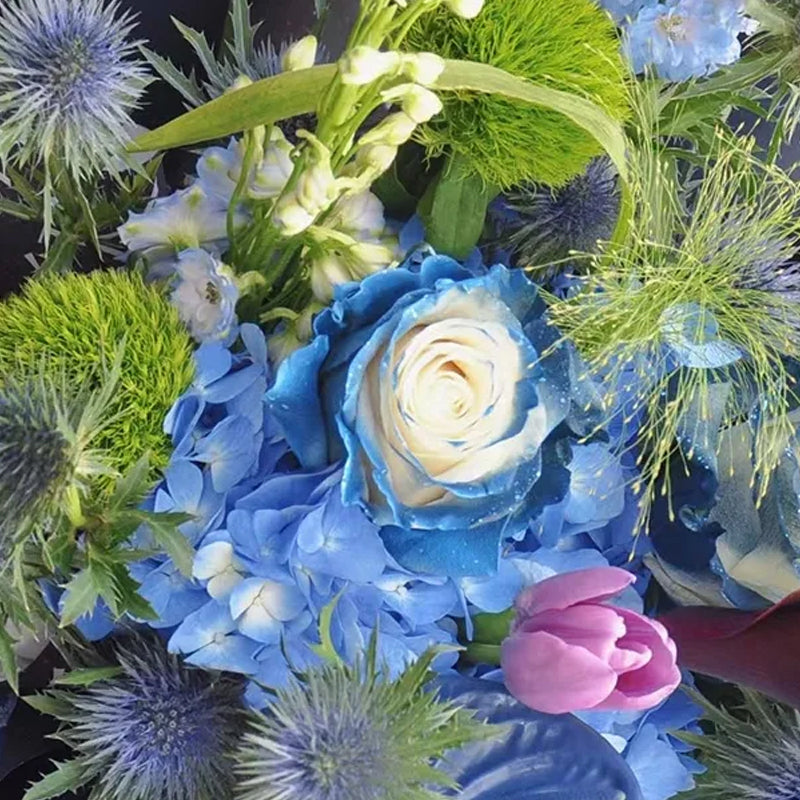 Starry Galaxy Rose - Rare Rose