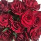 Red Rose Seedlings Flower Seeds Perennial Growing Bonsai Corms Tubers Potted Planting Reblooming Fragrant Garden Roots Rhizomes Species Blooms Plant Bulbs Gardening Tree