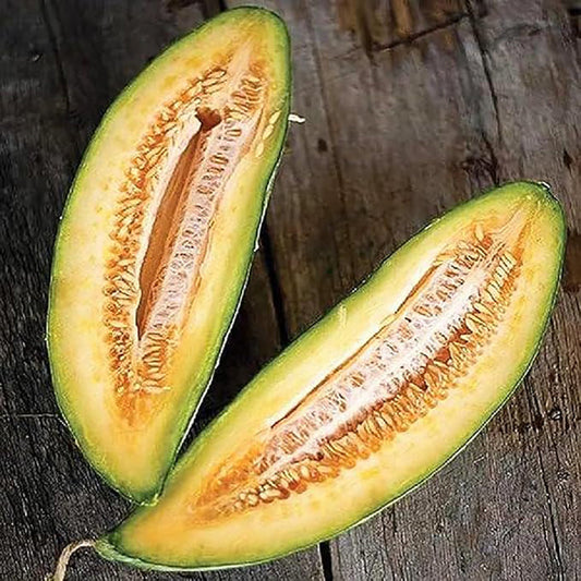 Rare Banana Melon Seed Exotic Charm Sweet Fruit  Unique Flavor
