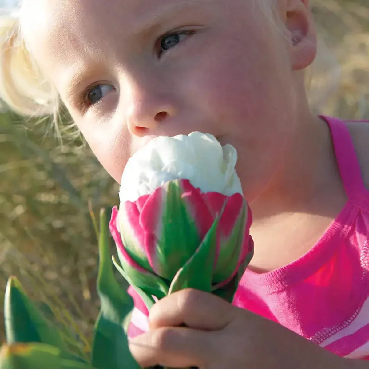 Ice Cream Tulip
