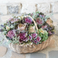Mix Ornamental Kale Seeds