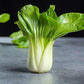 Baby Bok Choy Seeds Shanghai Green Stem AKA Pak Choi Pok Choi Chinese Cabbage