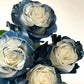Starry Galaxy Rose - Rare Rose