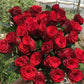 Red Rose Seedlings Flower Seeds Perennial Growing Bonsai Corms Tubers Potted Planting Reblooming Fragrant Garden Roots Rhizomes Species Blooms Plant Bulbs Gardening Tree