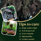 Elephant Ear Plants | Black Magic | (4-Pack) Easy-to-Grow Live Colocasia Plants, Perfect for Indoor/Outdoor Gardens, 3-8 inches Height
