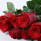 Red Rose Seedlings Flower Seeds Perennial Growing Bonsai Corms Tubers Potted Planting Reblooming Fragrant Garden Roots Rhizomes Species Blooms Plant Bulbs Gardening Tree