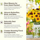 All Perennial Wildflower Mixed Seeds for Planting, 1/4 lb, 120,000+ Seeds with Lupine, Shasta Daisy | Attracts Pollinators, Plant in Spring or Fall, Zones 3, 4, 5, 6, 7, 8, 9, 10 wildflower seeds
