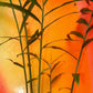Live 10 Rhizomes of Edible Ginger Roots Zingiber Zingiber Officinale for Growing Over 1/2 LB.