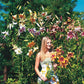 Lily Tree Mixture