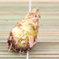 Mixed Color Tuberose Bulbs for Planting - Garden or Container Flowers