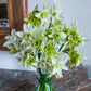Polar Hunter Daffodil