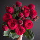 Red Piano Rose Seedlings Flower Seeds Perennial Growing Bonsai Corms Tubers Potted Planting Reblooming Fragrant Garden Roots Rhizomes Species Blooms Plant Bulbs Gardening Tree