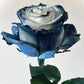 Starry Galaxy Rose - Rare Rose