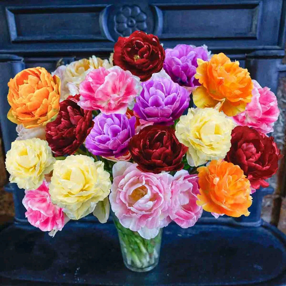 WOW! Peony-Flowering Tulip Mixture