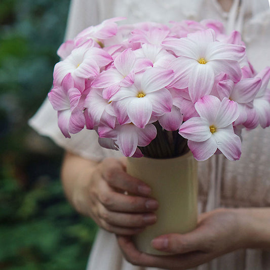 Rain lily bulbs for planting - Rain lily bulk - Rain lily bulbs for planting - Suitable for gardens and flowerpots