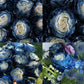 Starry Galaxy Rose - Rare Rose