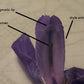 Siberian Iris Charming Billy Bearded Garden Fragrant Flower Seeds Plants Multiply Rapidly Home Balcony Bonsai Potted Planting Reblooming Fragrant Garden