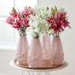 Lilium - Oriental Roselily Sascha