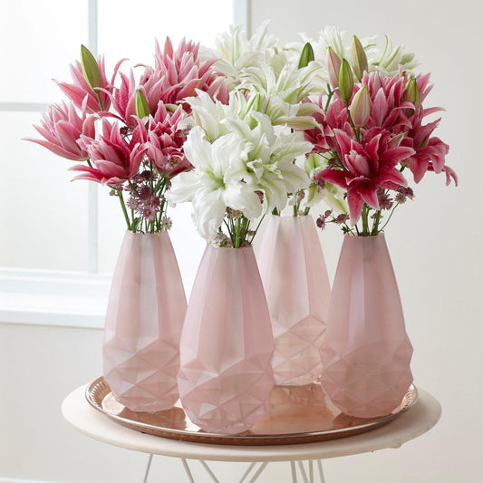 Lilium - Oriental Roselily Corolla