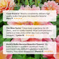 Fiery Temper Carpet Border Lily  Mixture